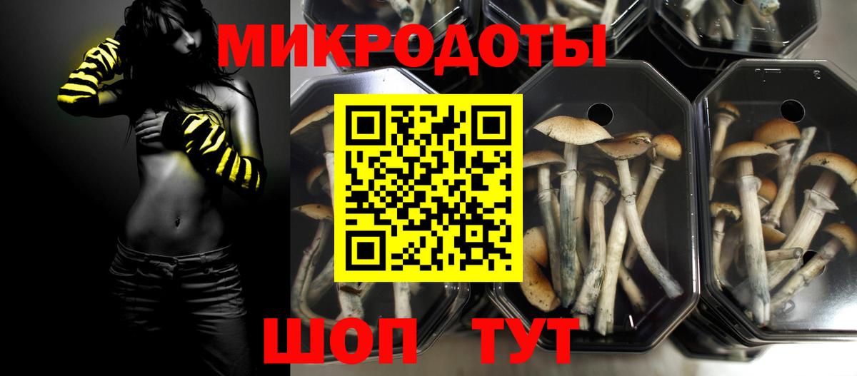 Галлюциногенные грибы мицелий  Россошь  Псилоцибиновые грибы Magic Shrooms 
