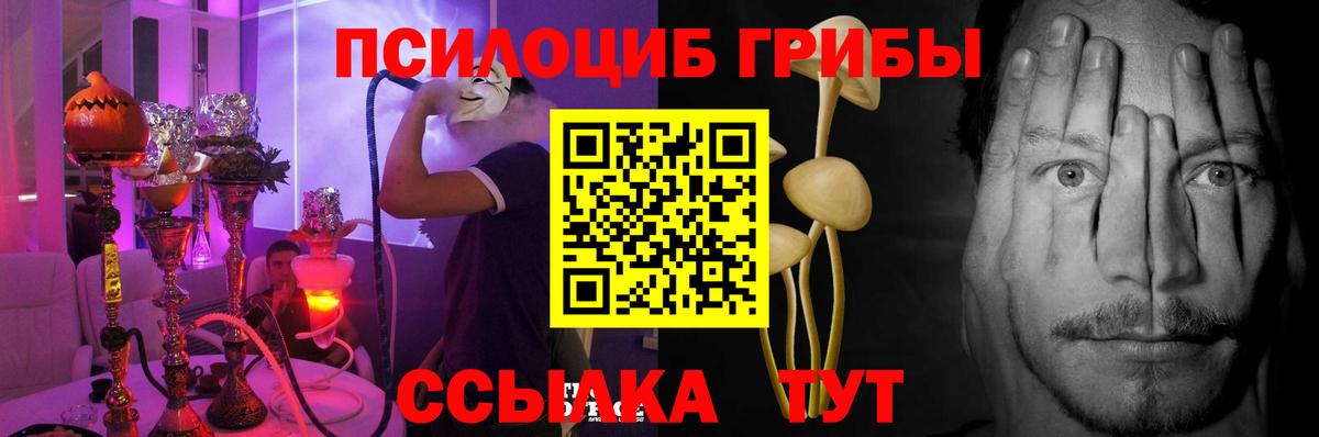 Псилоцибиновые грибы GOLDEN TEACHER  Вход с VPN  Галлюциногенные грибы ЛСД  Россошь 
