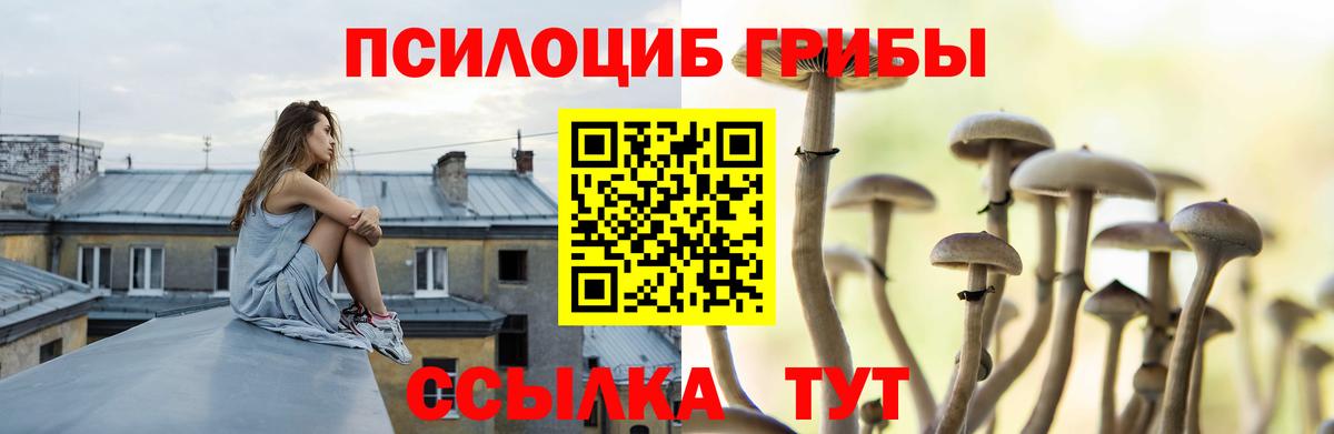 Псилоцибиновые грибы ЛСД Россошь